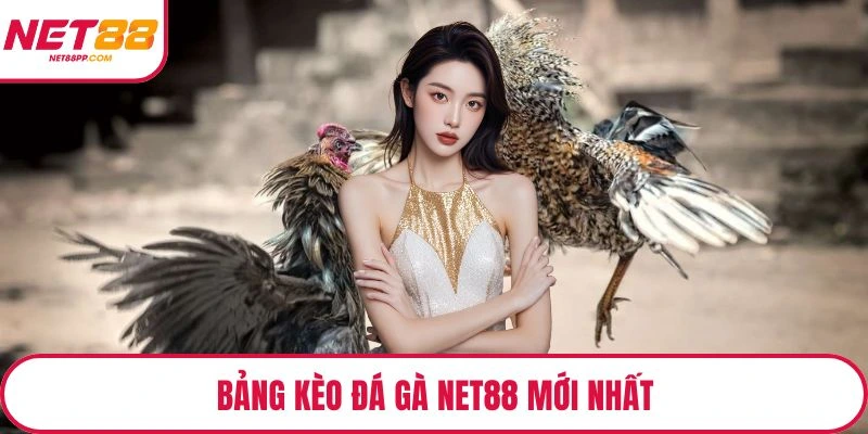 Bảng kèo đá gà NET88 mới nhất