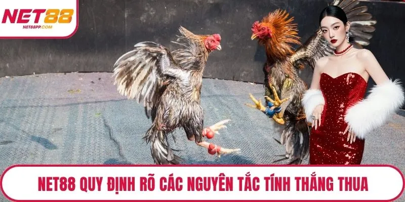 NET88 quy định rõ các nguyên tắc tính thắng thua