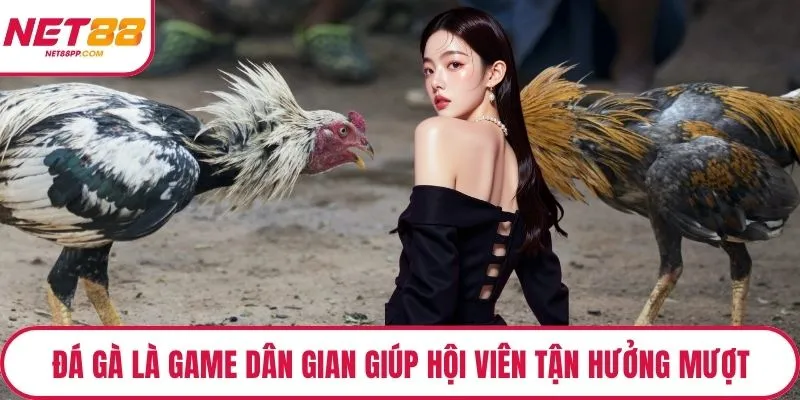 Đá gà là game dân gian giúp hội viên tận hưởng mượt
