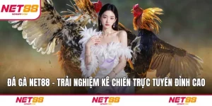 Đá Gà NET88 – Trải Nghiệm Kê Chiến Trực Tuyến Đỉnh Cao