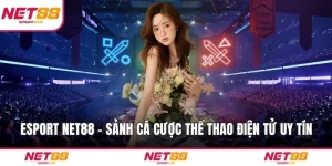 Esport NET88 – Sảnh Cá Cược Thể Thao Điện Tử Uy Tín