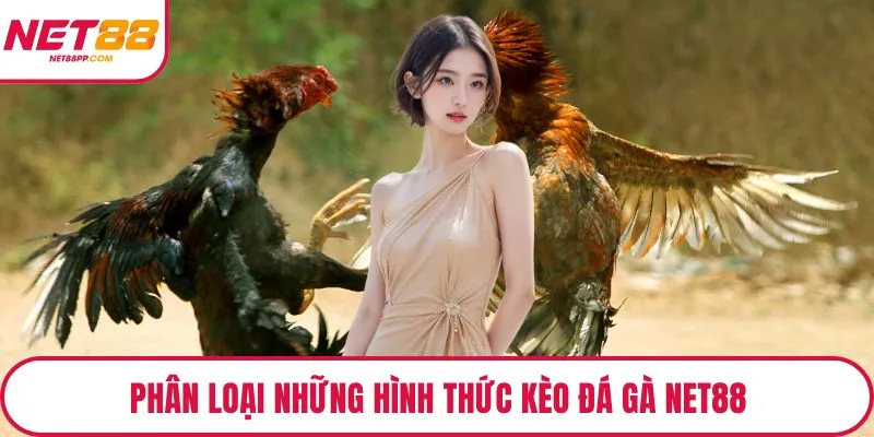 Phân loại những hình thức kèo đá gà NET88